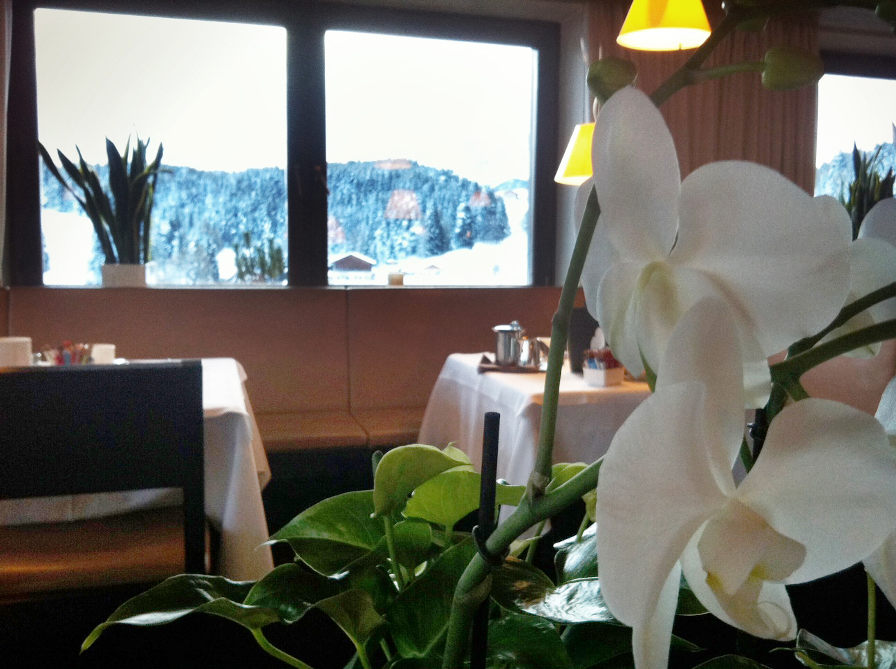 Ristorante hotel Pfosl [photo by Valeria Moschet]