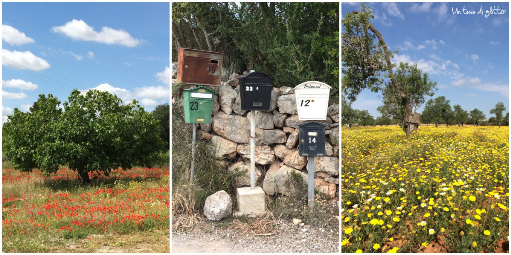 Mallorca landscapes