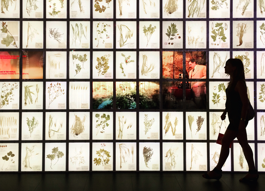 Valeria Moschet_ Expo Milano 2015