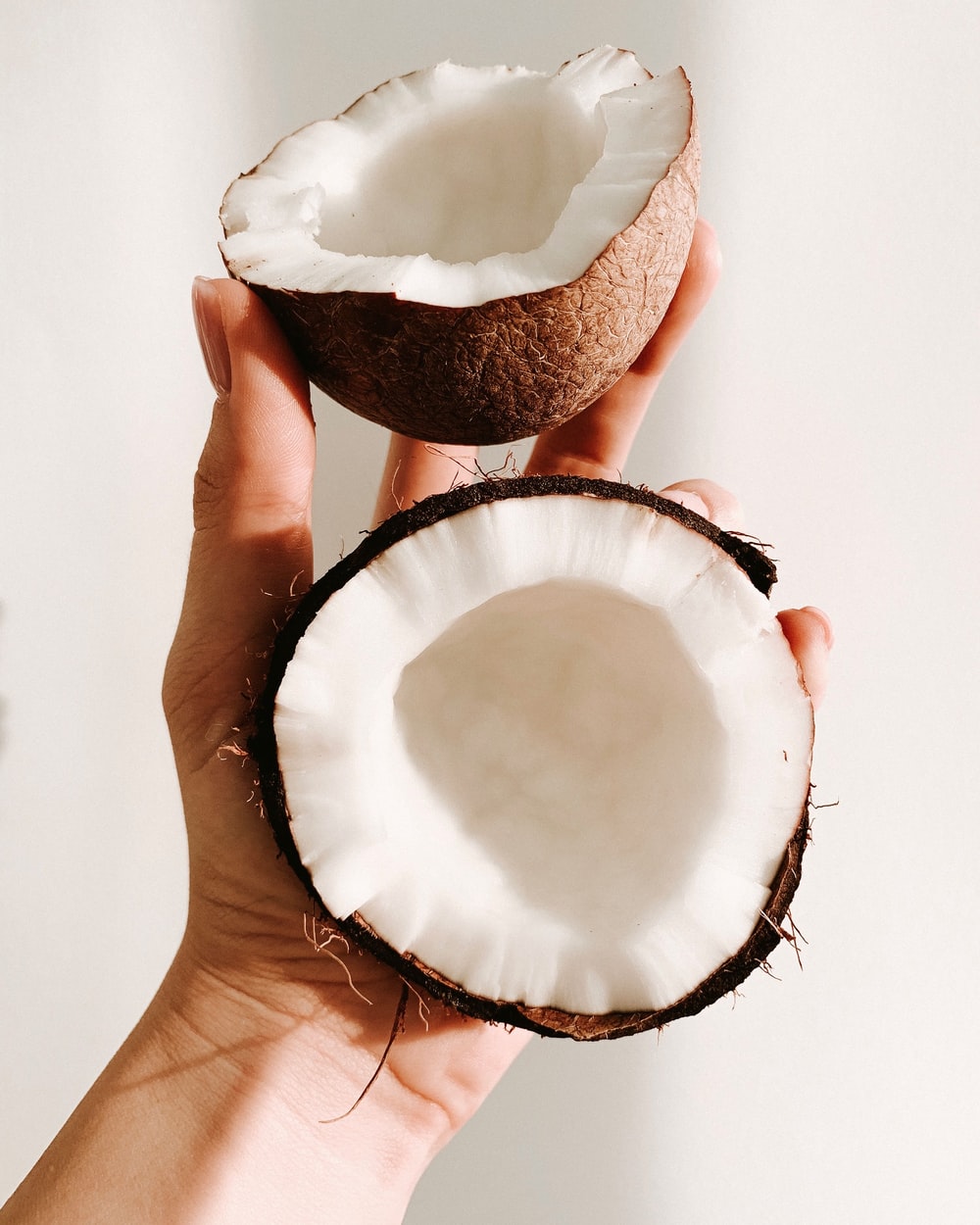 Noce di cocco proprietà
