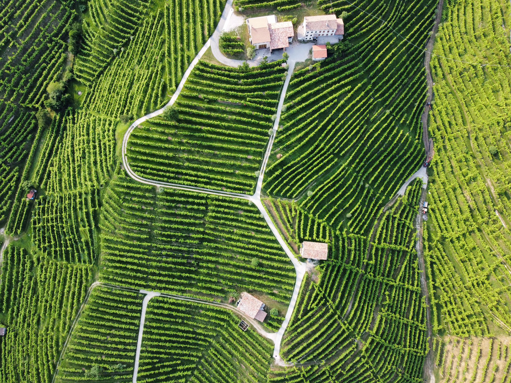Cantina di Valdobbiadene